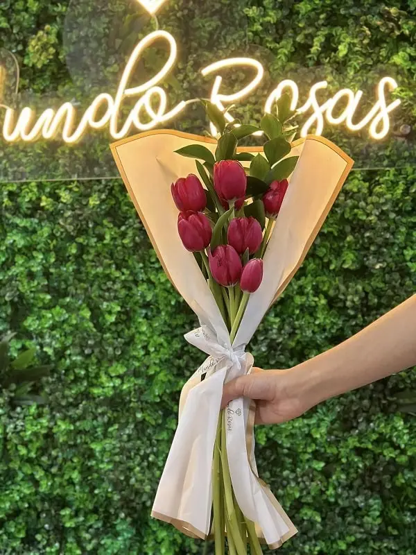 Hermoso Ramo de Tulipanes